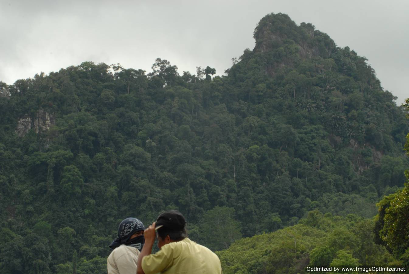 kalimantan tangkiling national park jungle, and dayak culture wild life
