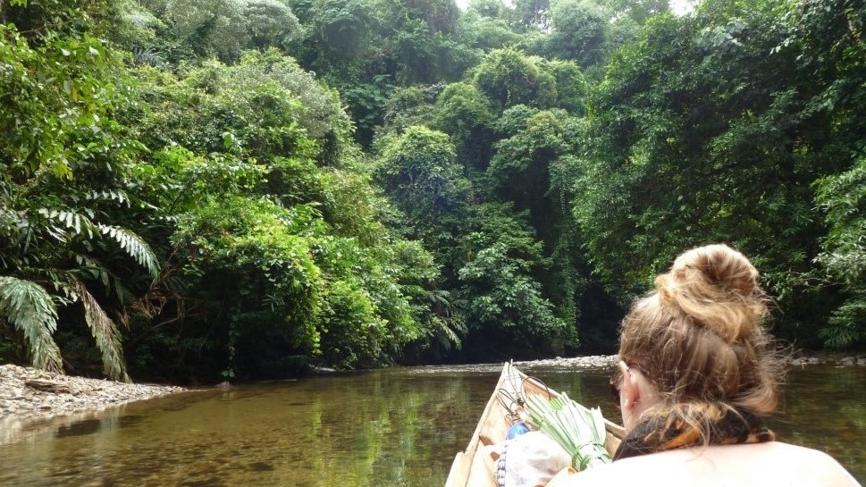 borneo exclusive tour trip wildlife safari jungle rain forest dayak culture guide