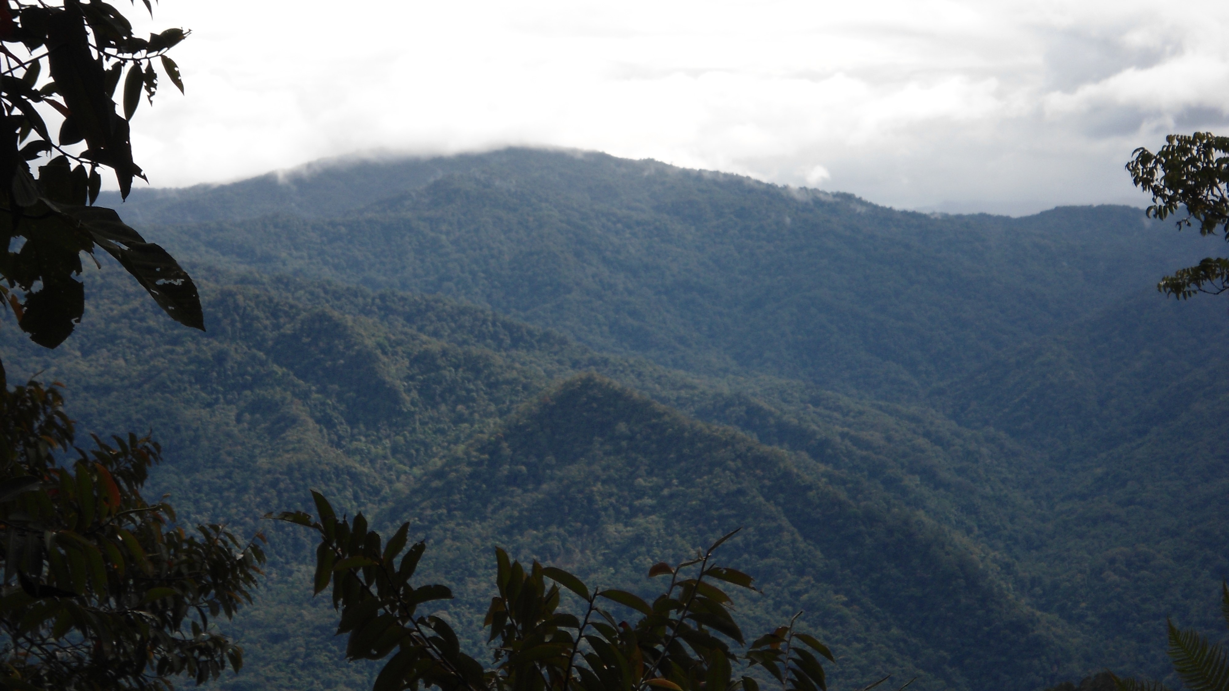 krayan highland cloud rain forest borneo kalimantan tour guide trip